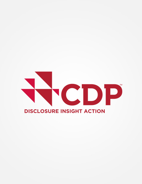 cdp-report